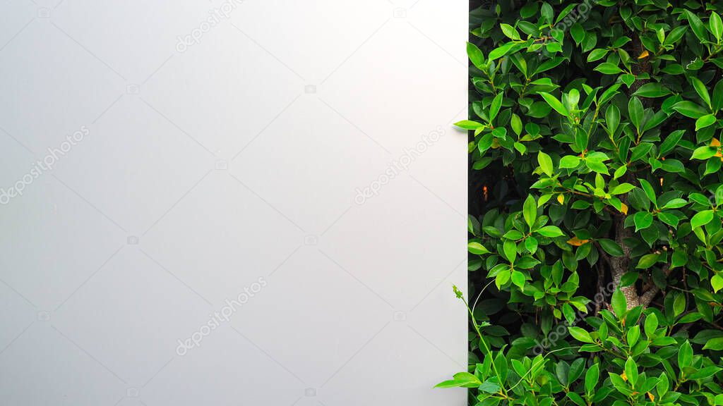 Abstract background of luxury aluminum panels and trees in nature to use as a background for your website or publication.