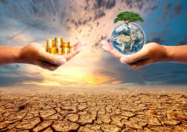 Землі Тріснуті Посухою Через Зміни Навколишнього Середовища Глобальне Потепління — стокове фото