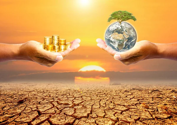 Länder Som Spricker Torka Grund Miljöförändringar Och Global Uppvärmning — Stockfoto