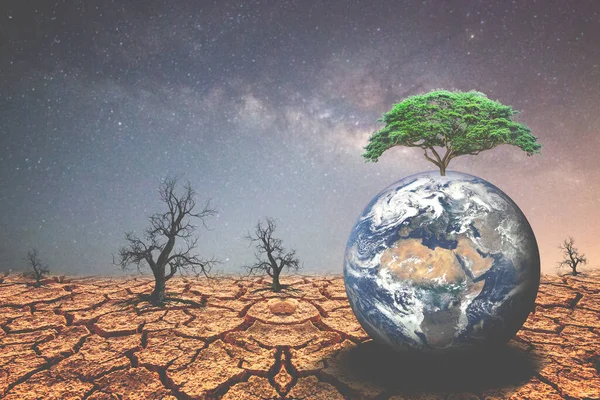 Земля Посушливих Районах Концепція Зміни Довкілля Глобального Потепління — стокове фото