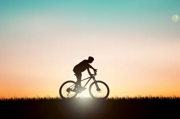 Silhouette Eines Radfahrers Einer Schönen Abendwiese Ideen Für Den Radurlaub — Stockfoto