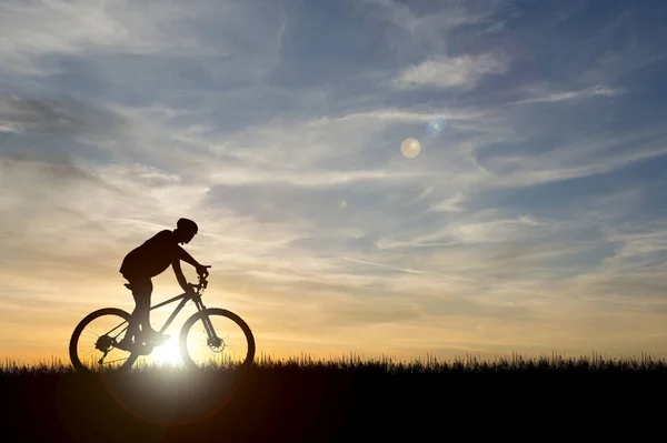 Silhouette Eines Radfahrers Einer Schönen Abendwiese Ideen Für Den Radurlaub — Stockfoto