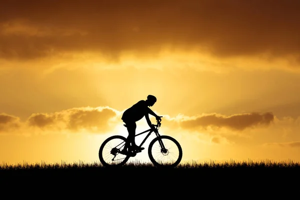 一个骑自行车的人在美丽的夜晚草地上的轮廓 自行车度假的想法 — 图库照片