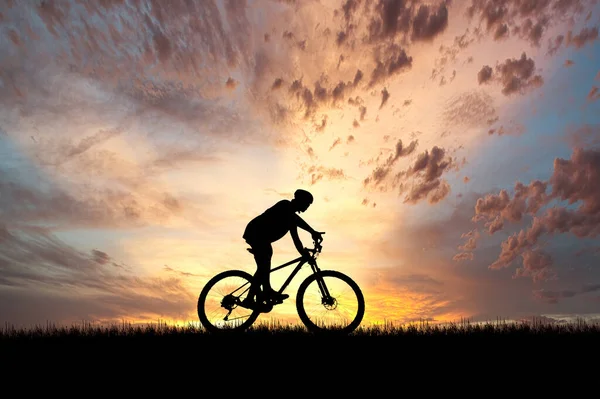 Silhouette Eines Radfahrers Einer Schönen Abendwiese Ideen Für Den Radurlaub — Stockfoto