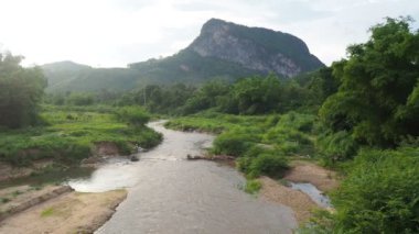 Tayland 'daki tropikal ormanların oluşturduğu doğal akarsular.