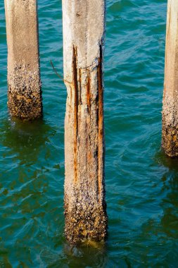 Deniz suyuna maruz kalan sütunlar aşınmış ve paslanmış çelik.