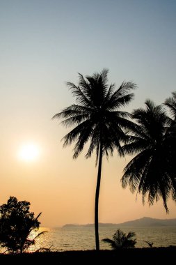 Akşamları deniz manzarası, renkli ışıklar..
