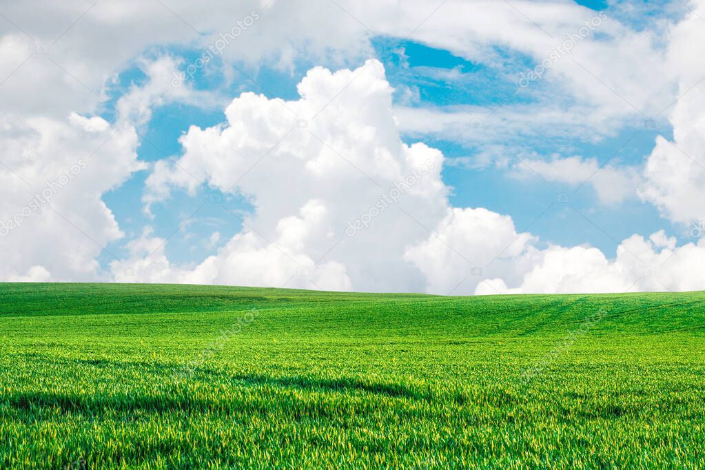 A large meadow in the background is the sky. background image concept