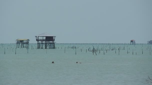 Casas Pescadores Situadas Medio Del Mar Que Una Granja Mariscos — Vídeos de Stock