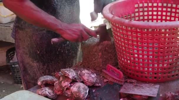 Vissers Thailand Pellen Oesters Uit Hun Schelpen — Stockvideo