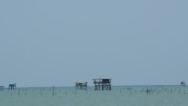 Casas Pescadores Localizadas Meio Mar Que Uma Fazenda Mariscos — Vídeo de Stock