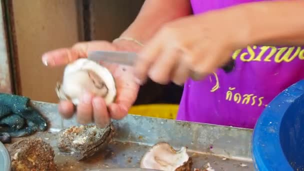 Fishermen Thailand Peeling Oysters Shells — Video Stock