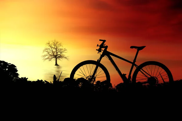 Silueta Bicicleta Montaña Una Hermosa Vista Concepto Ciclismo Aventura — Foto de Stock