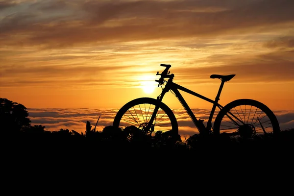 山地自行车轮廓在美丽的风景中 骑自行车和探险的概念 — 图库照片