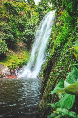 Tayland 'ın nemli tropikal ormanlarında büyük bir şelale. Mueang Thuat Şelalesi Ban Na San bölgesi Surat Thani ili, Tayland
