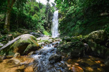 Tayland 'ın nemli tropikal ormanlarında büyük bir şelale. Mueang Thuat Şelalesi Ban Na San bölgesi Surat Thani ili, Tayland