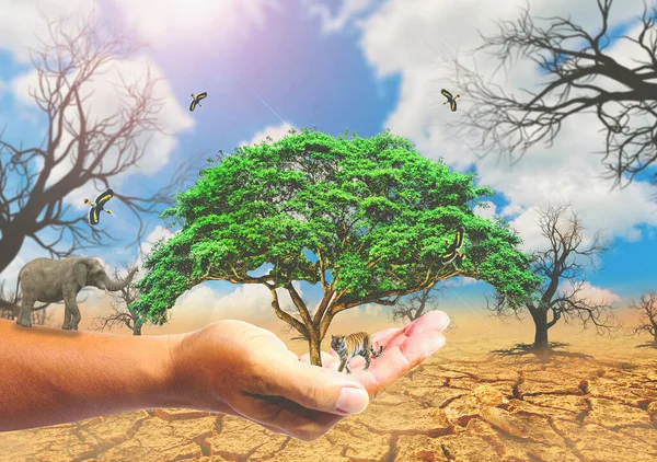 Koncepcja Ratowania Świata Ochrony Środowiska Drzewo Ręku Dla Zmian — Zdjęcie stockowe