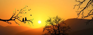 Daldaki kedi çiftinin silueti, güzel bir manzara. Aşk, çift, mutluluk kavramı