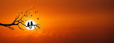 Daldaki kedi çiftinin silueti, güzel bir manzara. Aşk, çift, mutluluk kavramı