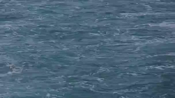 Superficie Del Mar Medida Que Barco Mueve Verano Mar Viajes — Vídeo de stock