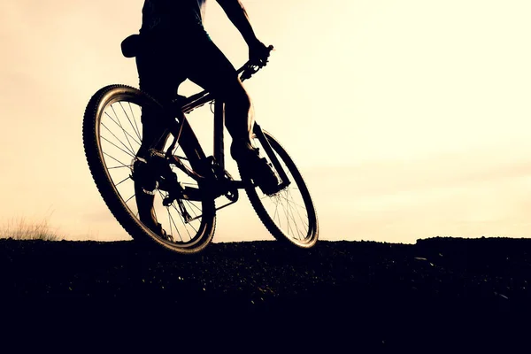 Silhouettes of mountain bikes and cyclists in the evening happily. Travel and fitness concept