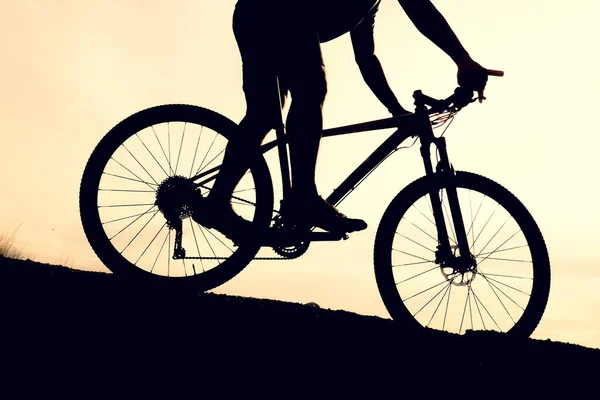 Silhouettes of mountain bikes and cyclists in the evening happily. Travel and fitness concept