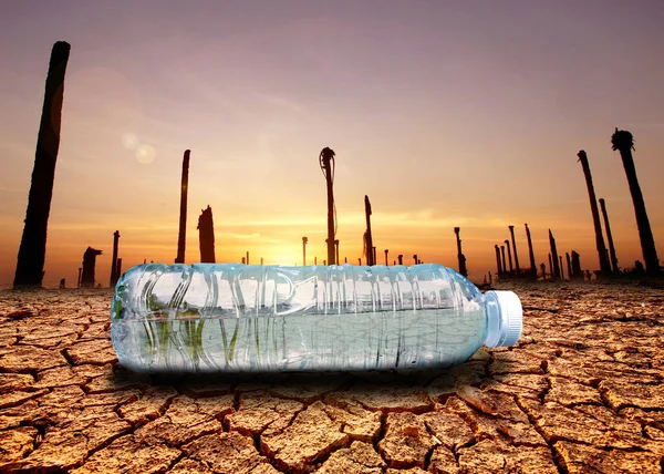 water scarcity concept Drought due to global warming. Water bottles placed in drought and broken soil areas
