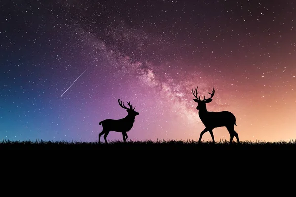Night deer silhouette against the backdrop of a large moon, element of the picture is decorated by NASA