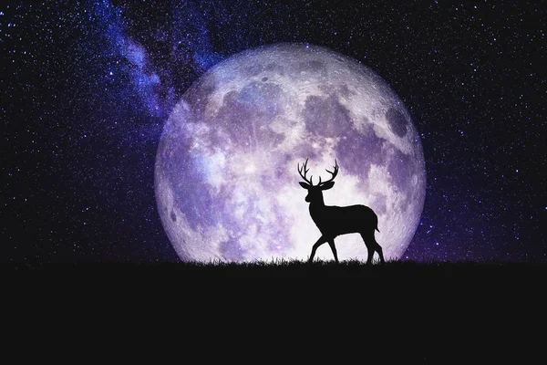 Night deer silhouette against the backdrop of a large moon, element of the picture is decorated by NASA