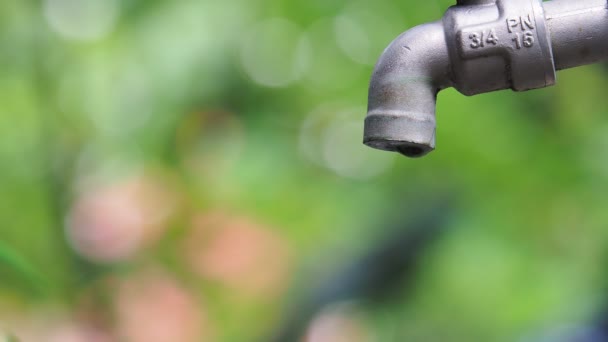 Leaking Tap Water Waste Water Unprofitable — Stock Video