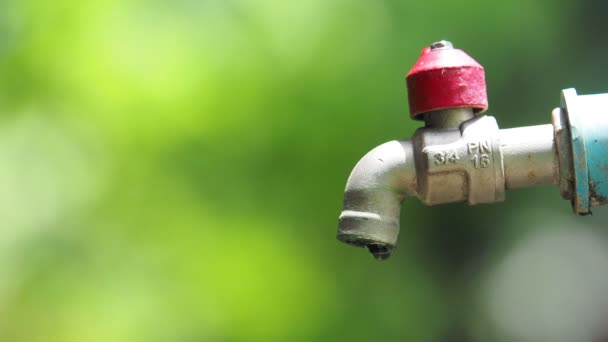 Leaking Tap Water Waste Water Unprofitable — Stock Video