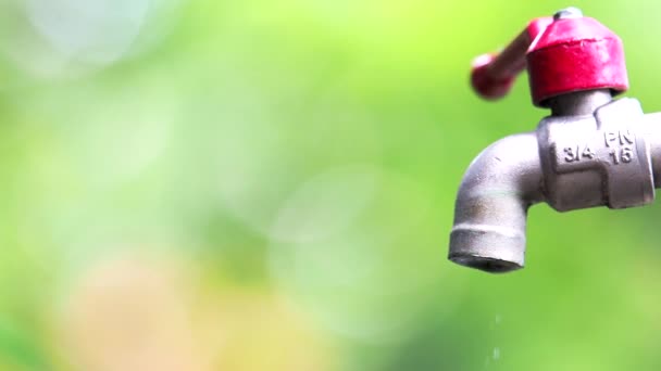 Leaking Tap Water Waste Water Unprofitable — Stockvideo