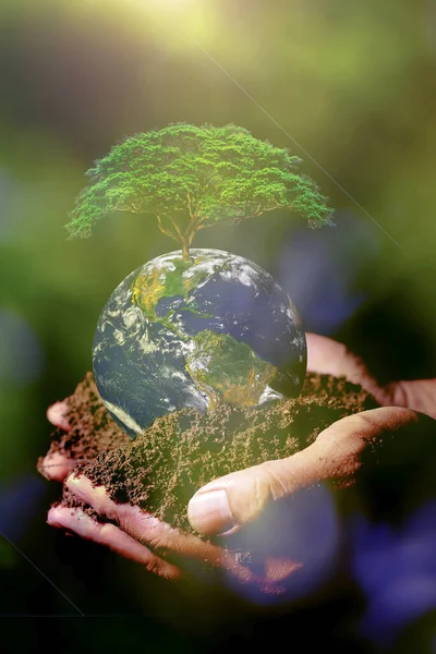 Tree in hand. Earth saving and  Environment concept. Hands Holding Globe Glass In Green Forest. element of the picture is decorated by NASA