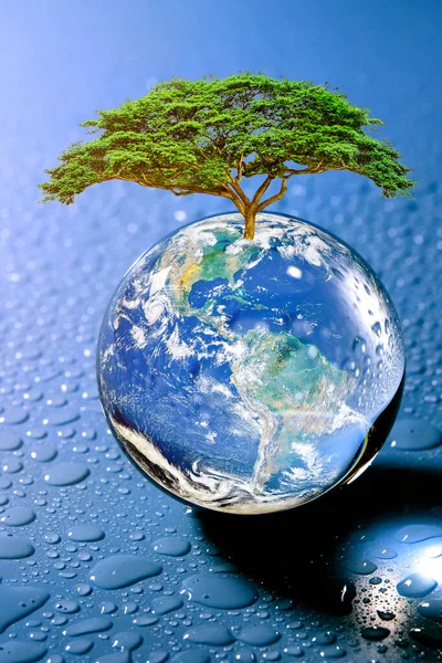 A perfectly planted globe resting on the refreshing water. The concept of protecting the environment, saving the world, planting trees to reduce global warming