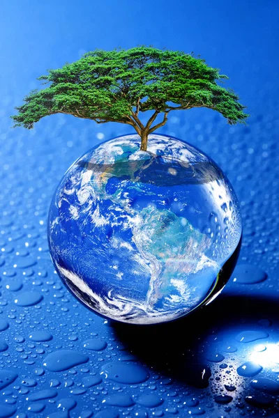 A perfectly planted globe resting on the refreshing water. The concept of protecting the environment, saving the world, planting trees to reduce global warming