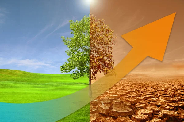 Concept of global temperature rising and global warming. Arrows show higher heat values against a backdrop of drought.