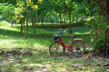 Bir işçi bisikleti Central Park 'ta sabah güneşinde bir ağacın altına park edilir. konsept bisiklet kullanımı küresel ısınmayı azaltmak için enerji tasarrufu için parktaki geniş mesafe çalışması          