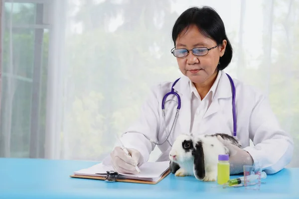 Veterinaria Especialista Senior Tomando Nota Enfermedad Actual Conejo Para Tratamiento —  Fotos de Stock