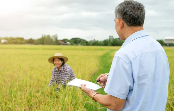 back view researcher talking with female farmer while she is working, agriculture specialist man interview farmer and writing on notebook.concept agricultural research,selective focus at a man
