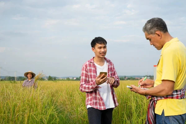 rice specialist in yellow collar t-shirt is writing on paper note book talking to young smart farmer who is using smart phone and a female farmer is working on background in paddy,selective focus at smart farmer