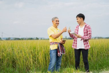 Mutlu aile akıllı çiftçi başarılı pirinç tarımı, tarım teknolojisi konsepti, organik tarım...