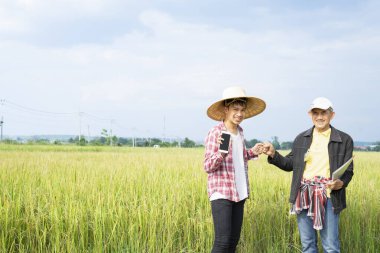 Asyalı pirinç çiftçisi, mutlu aile babası ve oğlu pirinç yetiştiriciliğinde başarılı olmak için akıllı telefon kullanıyor. konsept organik tarım, tarım teknolojisi