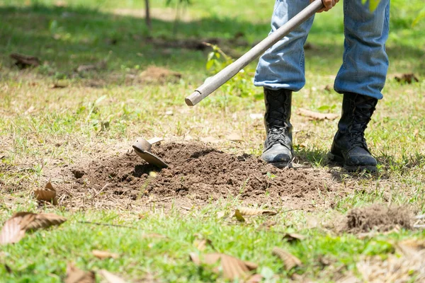 Bir adam toprağı kazıyor, küreğin sapından düşmesine neden oluyor, bahçıvan bahçede çalışıyor. Alet kavramı kullanmaya hazır değil.