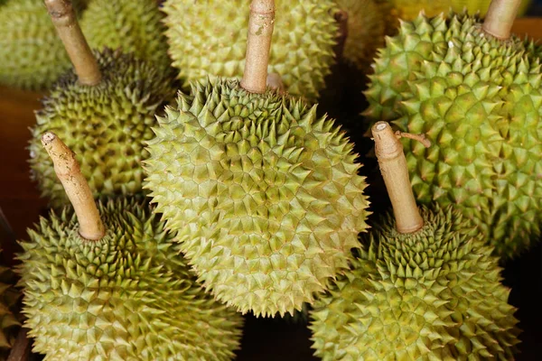 background of ripe durian fruits pile for sell,durian is seasonal fruit,a king of fruit and important economic crop  in Thailand