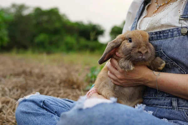 年轻可爱的兔子抱在怀里 是个牧羊女 带着一只棕色的兔子在乡间农场里 — 图库照片