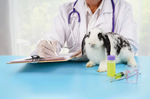 concept rabbit sick,rabbit healthcare. vetenatarian writing on flipchart to treatment a young cute bunny with medical equipment for examination and treatment on table