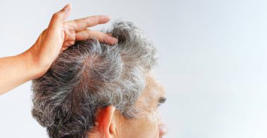 grey hair in an old age man(selective focus), beautician open gray hair of a senior man to show hair problem isolated on grey background with copy space 