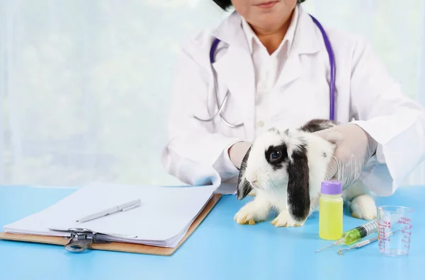 vetetarian examine a young cute bunny with medical equipment for examination and treatment on table. concept rabbit sick,rabbit healthcare.