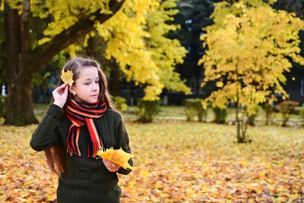 스웨터 스카프 아름다운 소녀가 단풍나무 잎으로 꽃다발을 머리카락 소녀는 공원을 — 스톡 사진