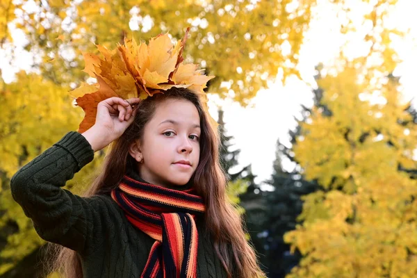 Hermosa Chica Suéter Bufanda Con Corona Hojas Arce Amarillo Cabeza — Foto de Stock